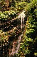 WaterFalls of home