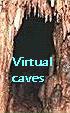 Caves that lead to Adoptable Virtual Pets